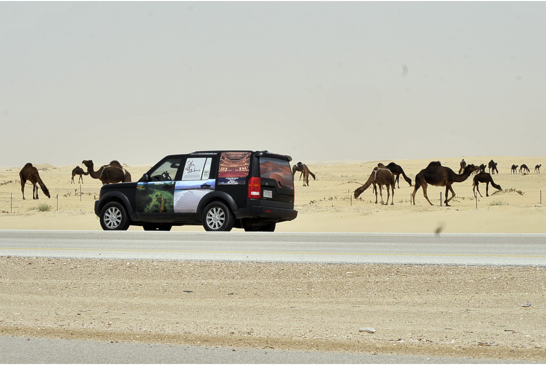 Do not mind to exchange the car for the camels !