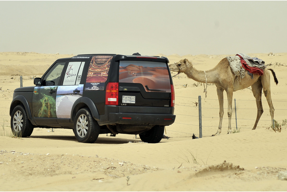 The Camel wants to join the team 