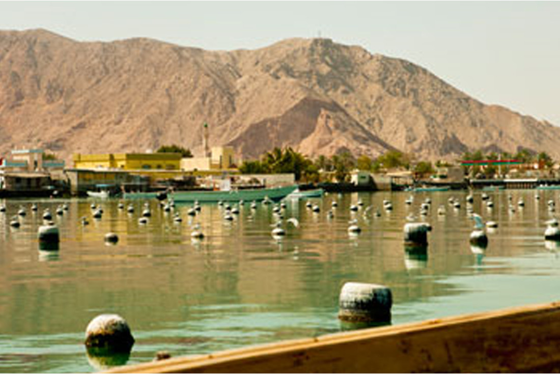 RAK pearl farm