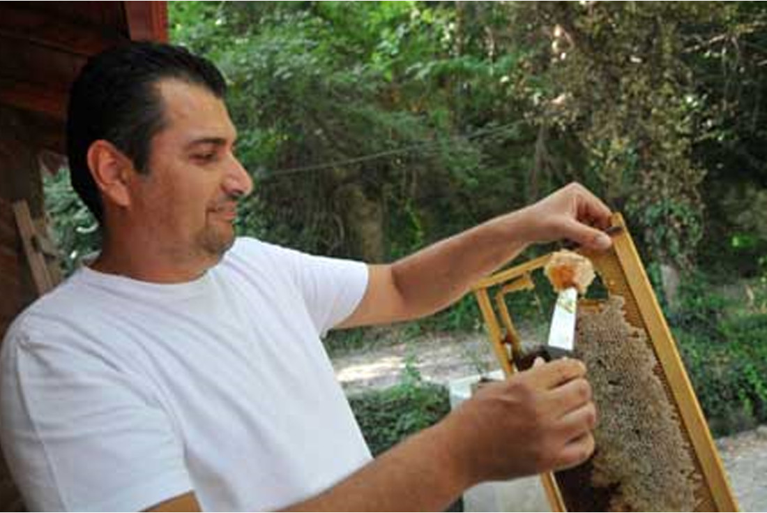 Melimeli: Honey factory