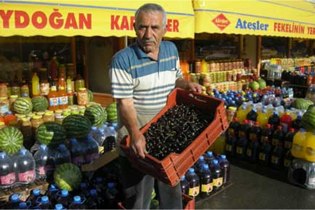 Turkish cherries