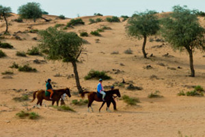 Horse riding at Banyan Tree Al Wadi 