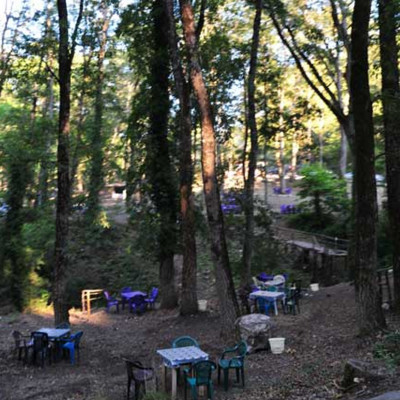 Little Kasab a treat for visitors