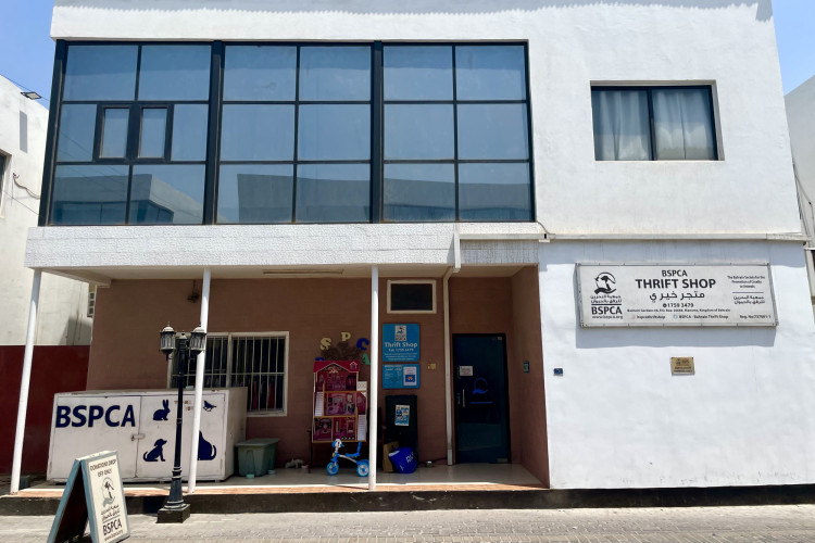 An expat's complete guide to Bahrain